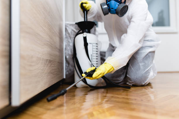Best Local Pest Control Services  in Itasca, TX