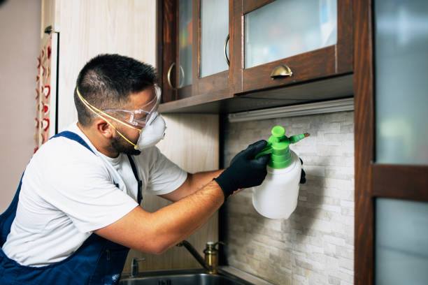 Best Mosquito Control Services  in Itasca, TX