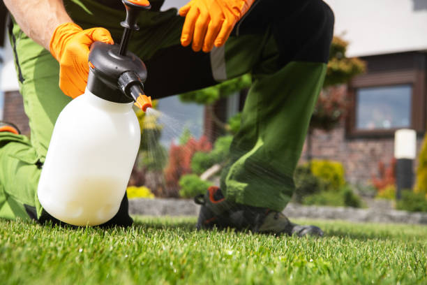 Best Best Pest Control Companies  in Itasca, TX