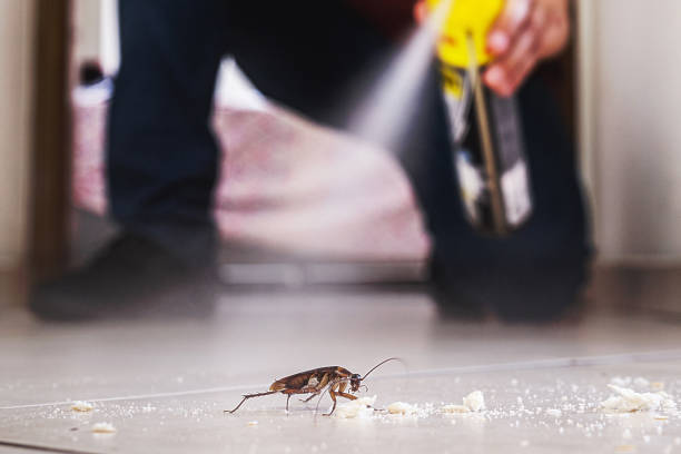 Trusted Itasca, TX Pest Control Experts