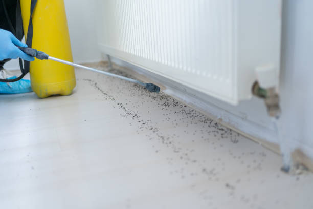 Best Residential Pest Control  in Itasca, TX