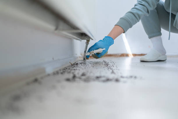 Pest Control Cost in Itasca, TX