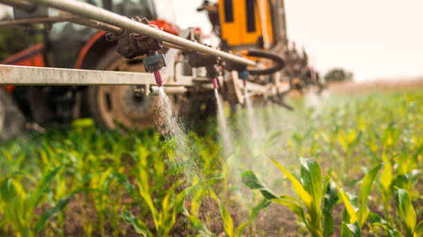 Best Mosquito Control Services  in Itasca, TX